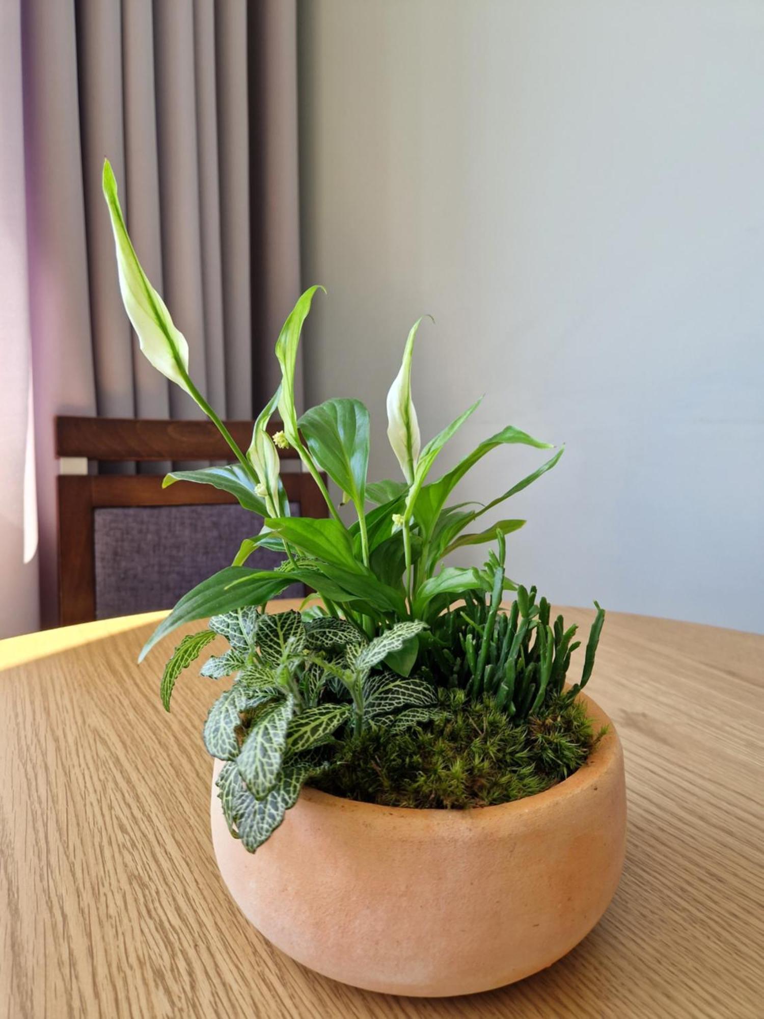 Apartament Suchanino Apartment Gdansk Bagian luar foto